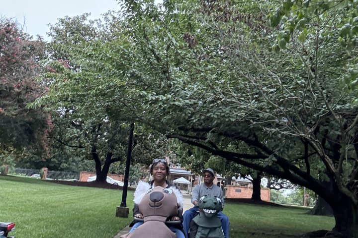 Adults and children with strollers walk on a tree-lined path.