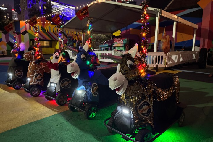 Four animal-themed ride-on scooters with lights in an outdoor amusement area at night.