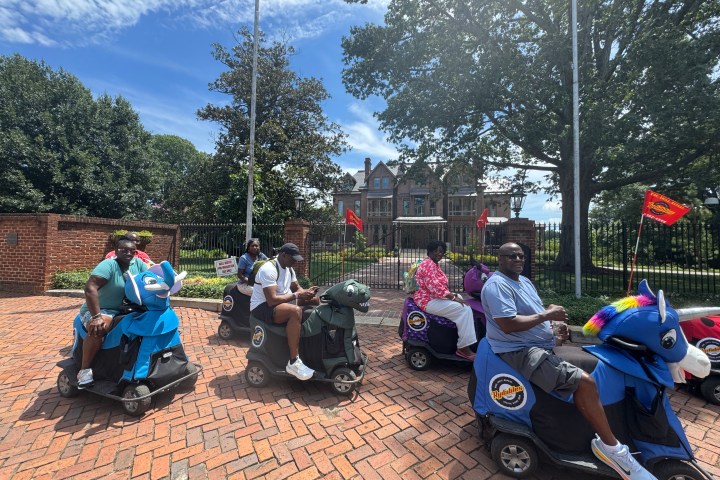 People riding animal-themed scooters in a park on a sunny day.